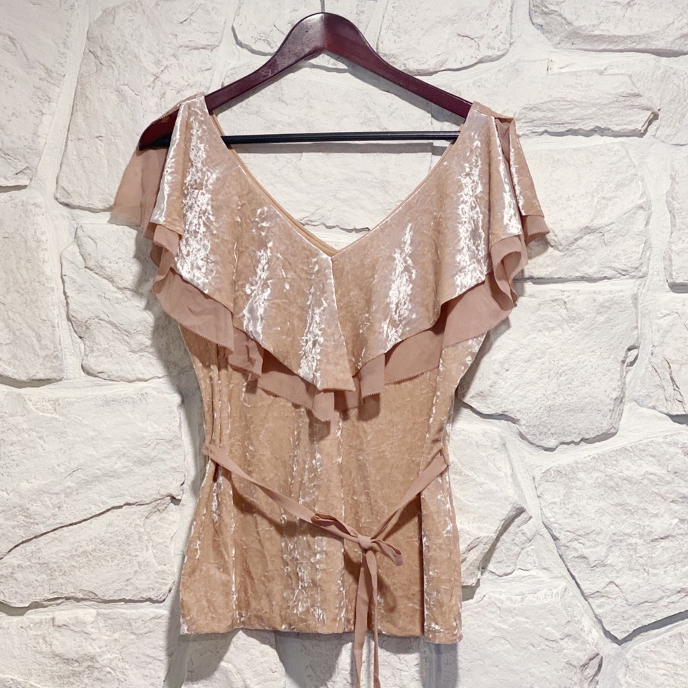 Velvet Blouse. White House Black Market.